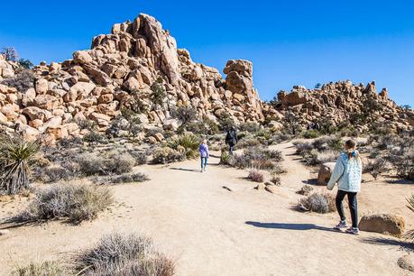 ▷ 8 cosas increíbles para hacer en el Parque Nacional Joshua Tree, California hidden-valley-trail-1 ▷ 8 cosas increíbles para hacer en el Parque Nacional Joshua Tree, California