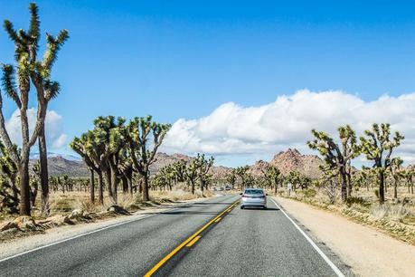 ▷ 8 cosas increíbles para hacer en el Parque Nacional Joshua Tree, California joshua-tree-national-park-california-3 ▷ 8 cosas increíbles para hacer en el Parque Nacional Joshua Tree, California