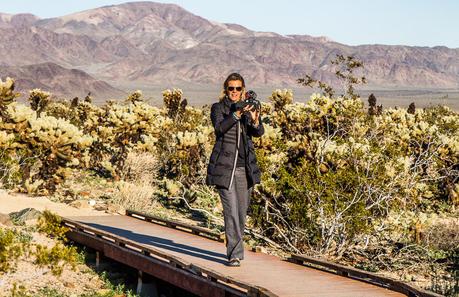 ▷ 8 cosas increíbles para hacer en el Parque Nacional Joshua Tree, California pinto-drive-joshua-tree-np-2 ▷ 8 cosas increíbles para hacer en el Parque Nacional Joshua Tree, California