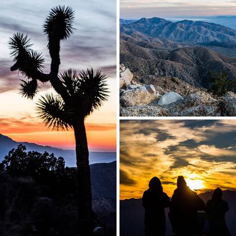 ▷ 8 cosas increíbles para hacer en el Parque Nacional Joshua Tree, California joshua-tree-np-1 ▷ 8 cosas increíbles para hacer en el Parque Nacional Joshua Tree, California