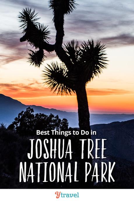 ▷ 8 cosas increíbles para hacer en el Parque Nacional Joshua Tree, California best-things-to-do-in-joshua-tree-national-park-2 ▷ 8 cosas increíbles para hacer en el Parque Nacional Joshua Tree, California