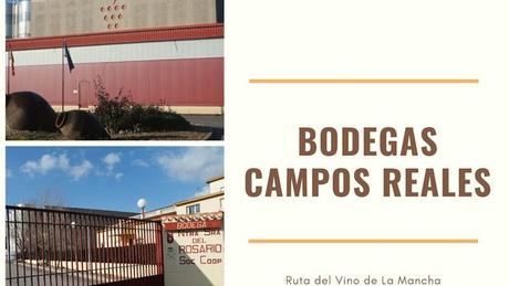 Ruta del Vino: Bodegas Campos Reales en El Provencio