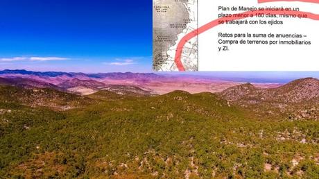 Oficial, gobierno entregará Sierra de San Miguelito a inmobiliarias