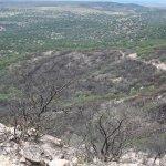 Galería: Así quedó la Sierra de San Miguelito tras el incendio