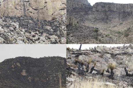 Galería: Así quedó la Sierra de San Miguelito tras el incendio
