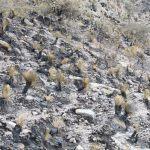 Galería: Así quedó la Sierra de San Miguelito tras el incendio