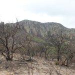 Galería: Así quedó la Sierra de San Miguelito tras el incendio