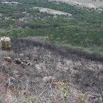 Galería: Así quedó la Sierra de San Miguelito tras el incendio