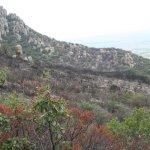 Galería: Así quedó la Sierra de San Miguelito tras el incendio