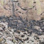 Galería: Así quedó la Sierra de San Miguelito tras el incendio