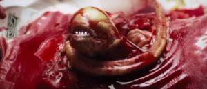 DOS HEROINAS QUE MARCARON LA HISTORIA DEL CINE