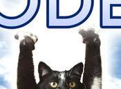 Códigos Arena Codes