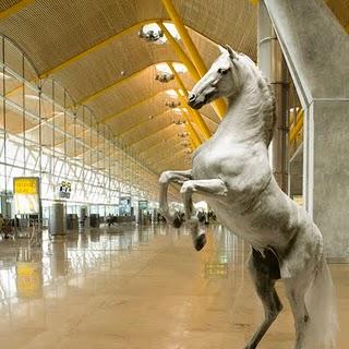 Caballos pura sangre españoles, protagonistas de una nueva exposición en Madrid-Barajas.