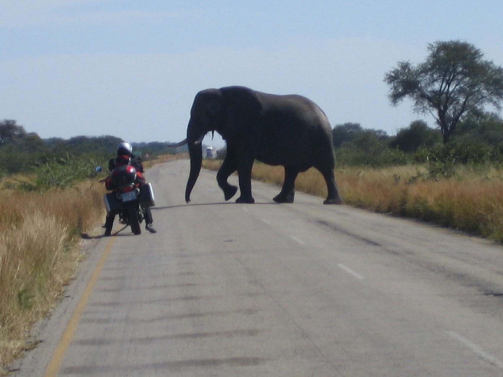 * 2008 SUDAFRICA, NAMIBIA, BOTSWANA, ZAMBIA Y ZIMBABWE