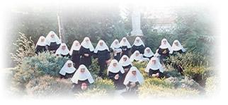 El Misterio del Alzheimer (audio y vídeo completo)