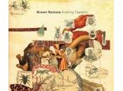 Brown Recluse: 'Evening Tapestry'