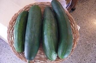 Esta primavera me desquité