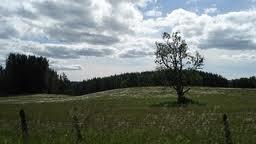 Creación Literaria (3)