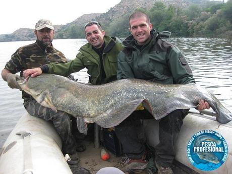 PESCADORES DE BILBAO
