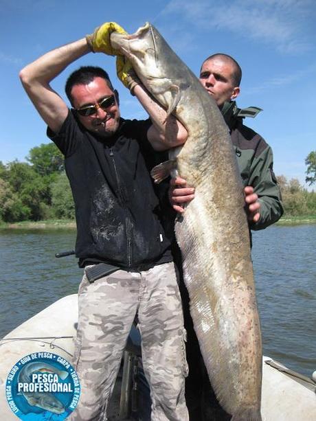 PESCADORES DE BILBAO