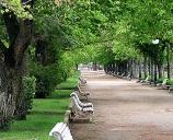 Congreso de Jóvenes Investigadores RSME