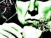 Mensaje Paoletti Acordes