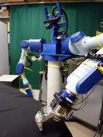 Los robots avanzan para ver como humanos