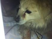 Haiku, joven cruel vida!!. PROA Madrid