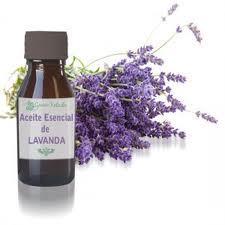 El universo de los aceites esenciales y su utilización en la cosmética. Parte 2