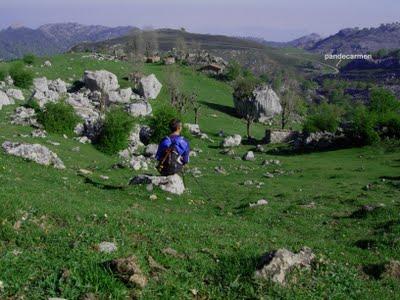 torre de la canal vaquera