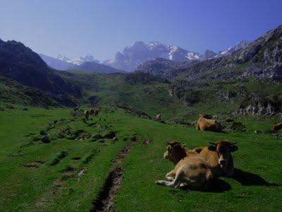torre de la canal vaquera