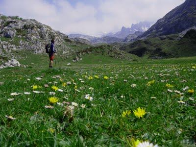 torre de la canal vaquera