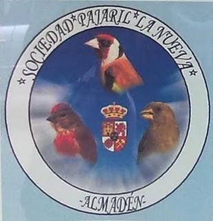 Concurso Autonómico de Canto de Aves Fringílidas en Almadén