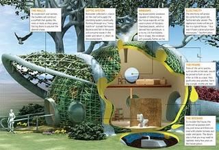 _tree house design