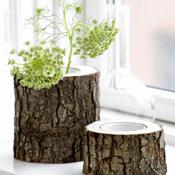 Decoración naturalmente inspirada