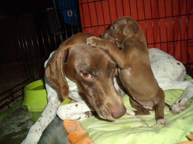 Laica, una mami coraje en Murcia