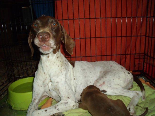 Laica, una mami coraje en Murcia