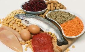 Dietas altas en proteinas Dietas altas en proteinas