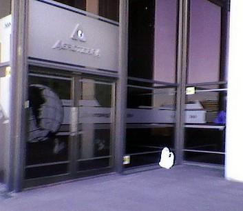 Bolsita + viento = Belleza americana