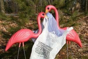 flamengos con una bolsa de plástico