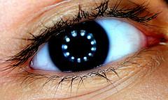 Anatomía: La pupila