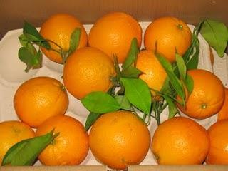 Ensalada mozárabe de cous-cous con naranja, dátiles y menta. NarSafor y Dismuco