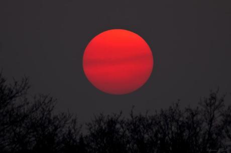 Adrian Scott – Soles y Luna Adrian Scott – Soles y Luna