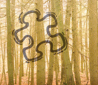 Día Internacional de la Fibromialgia en AFIBROM, Madrid