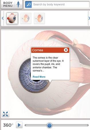 bodymaps (3) bodymaps healthline (3)