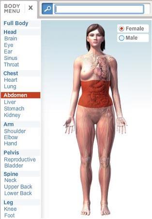 bodymaps (1) bodymaps healthline (1)