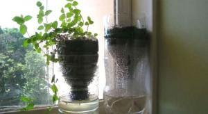 tiesto_agua_plantas_botella_plastico Embotella y recicla como puedas