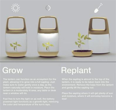 Eco-Lantern – La Eco-linterna Terrario en la que prospera la vida