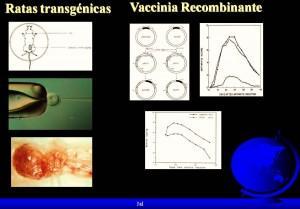 Mis pasitos en investigación entre la artritis y la microbiología…