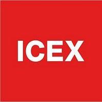 Becas ICEX de Internacionalización de la empresa 2012